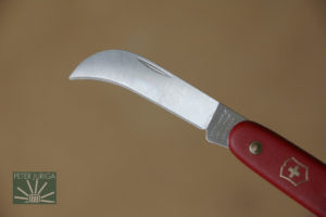Ostrie nožíka FELCO je brúsené iba z jednej strany, ako možno vidieť. Pre FELCO tieto nožíky robí svetoznámy švajčiarsky výrobca VICTORINOX. | foto: Peter Juriga
