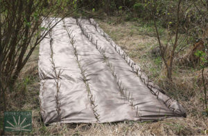 Rýchly spôsob výsadby na netkanú textíliu bez nutnosti predošlej prípravy pôdy | Peter Juriga
